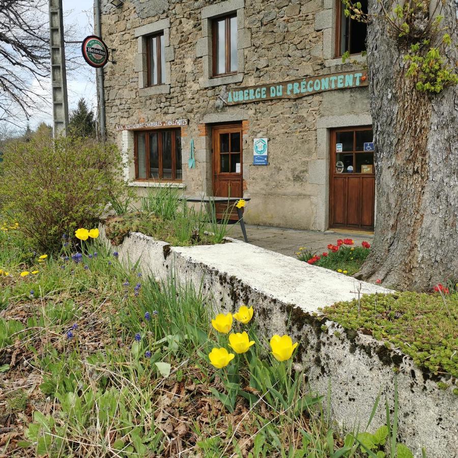 Du Precontent 3*